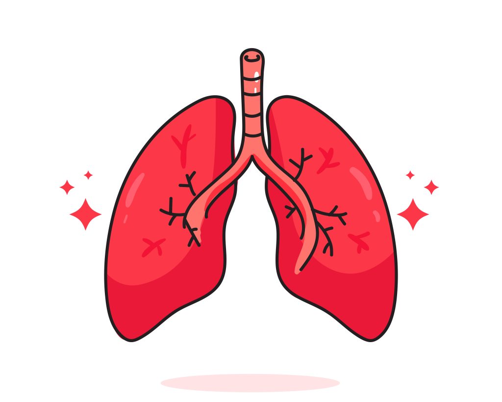 Lung_human_anatomy_biology_organ_body_system_health_care_and_medical_hand_drawn_cartoon_art_illustration