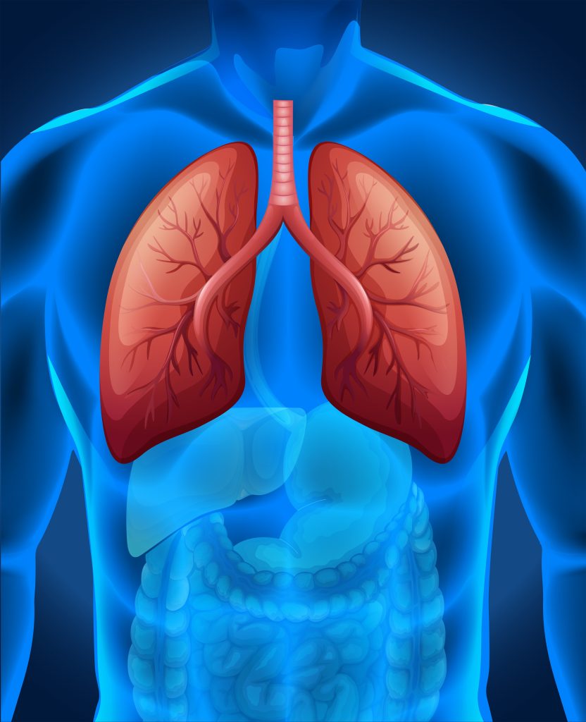 Some good habits to keep Lungs healthy