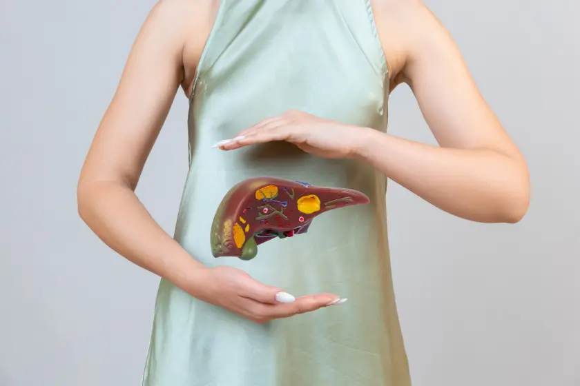 Why the Liver Is Essential for Detox, Digestion & Metabolism